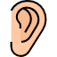 Ear, Nose & Throat (E.N.T.)